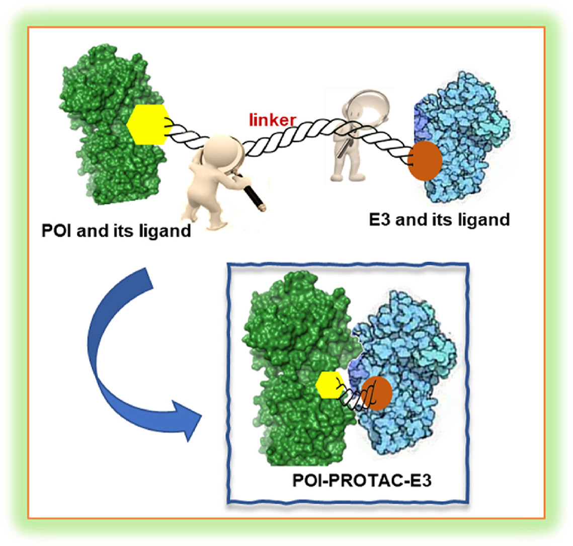 Schematic showing a PROTAC bridging a protein of interest and an E3 ligase to form a ternary complex.