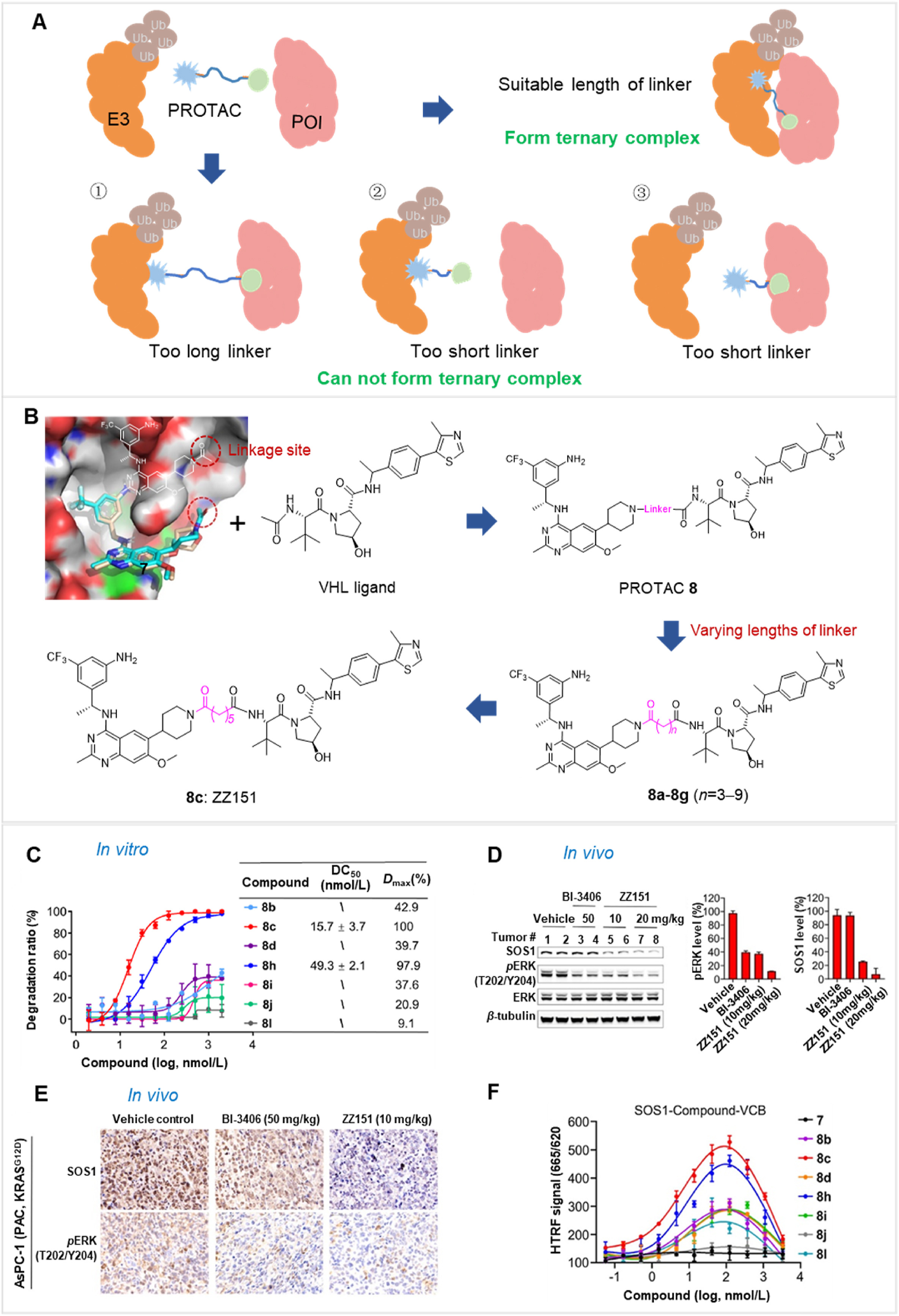 Figure illustrating how linker group types influence molecular weight, hydrogen-bonding features, lipophilicity, and cell permeability.