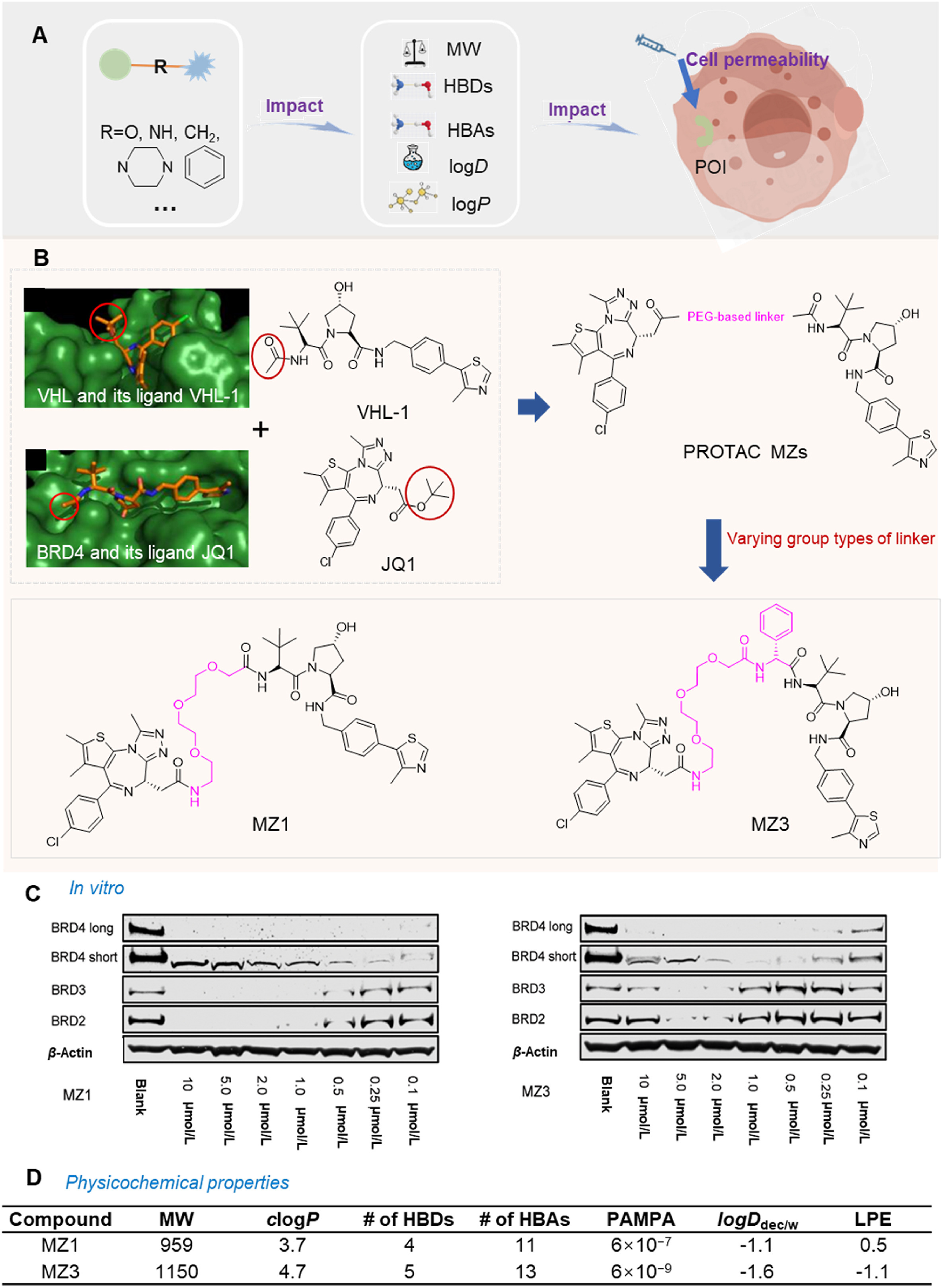 Figure showing how linker flexibility affects PROTAC stability and the design path leading to Bavdegalutamide ARV-110.